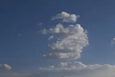 DSC_3695 (Large).JPG